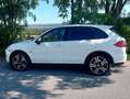 Porsche Cayenne Cayenne II S 4,8 Aut. S Weiß - thumbnail 4