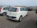 Fiat Punto Evo Punto Evo 5p 1.3 mjt MyLife s Bianco - thumbnail 4
