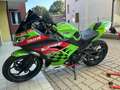 Kawasaki Ninja 300 ABS - thumbnail 1