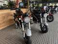 Honda DAX ST 125 Niebieski - thumbnail 2