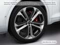 Audi SQ5 TDI tiptr. Pano/ACC/Virtual/HUD/St Weiß - thumbnail 11