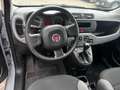 Fiat Panda 1.0 firefly hybrid City Life s&s 70cv - thumbnail 6