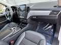 Mercedes-Benz GLE 250 GLE 250 d 4Matic Sport Bianco - thumbnail 8