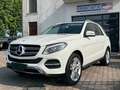 Mercedes-Benz GLE 250 GLE 250 d 4Matic Sport Bianco - thumbnail 1