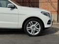 Mercedes-Benz GLE 250 GLE 250 d 4Matic Sport Bianco - thumbnail 5