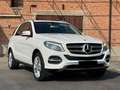 Mercedes-Benz GLE 250 GLE 250 d 4Matic Sport Bianco - thumbnail 2