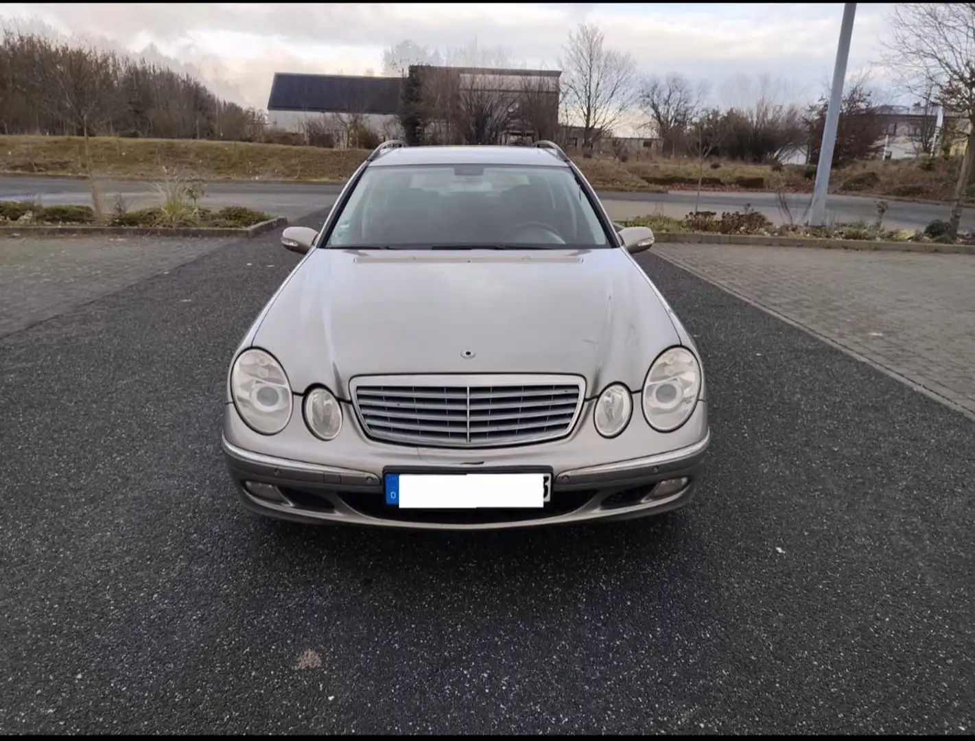 Mercedes-Benz 220 Beige - 1