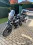 Triumph Tiger 900 GT Noir - thumbnail 6