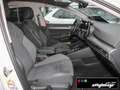 Volkswagen Golf Style 1.5 eTSI DSG+Kamera+Matrix-LED+Sitzhz Blanc - thumbnail 8