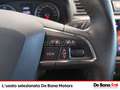 SEAT Ibiza 1.6 tdi business 95cv Bianco - thumbnail 15