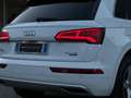 Audi Q5 40TDI Sport Design Evo Plus quattro 190cv S-Tronic Blanc - thumbnail 8