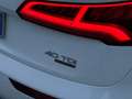 Audi Q5 40TDI Sport Design Evo Plus quattro 190cv S-Tronic Blanc - thumbnail 14