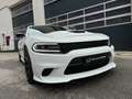 Dodge Charger SRT**HELLCAT*NEUWERTIG*VOLLAUSSTATTUNG** Weiß - thumbnail 12