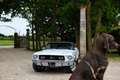 Ford Mustang GT/CS California Special / Matching / Etat Exceptionnel / Rare exemplaire / Restaurée Bleu - thumbnail 3