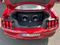 Ford Mustang 5.0 V8 GT MY20 Facelift Schalter Rouge - thumbnail 14