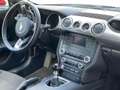Ford Mustang 5.0 V8 GT MY20 Facelift Schalter Rouge - thumbnail 6