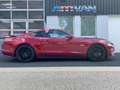 Ford Mustang 5.0 V8 GT MY20 Facelift Schalter Rouge - thumbnail 3