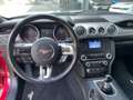Ford Mustang 5.0 V8 GT MY20 Facelift Schalter Rouge - thumbnail 7