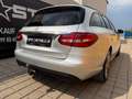 Mercedes-Benz C 220 C-Klasse C 220 d Silber - thumbnail 21