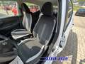 Hyundai i10 PROMO FINANZ. 1.0 63 CV Connectline KM 0 Bianco - thumbnail 13