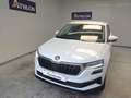 Skoda Karoq 2.0TDI AdBlue Ambition 4x4 DSG 110kW Blanco - thumbnail 1