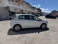 Fiat Punto Fiat Punto Evo 1.3mjt 75cv GARANZIA 24 MESI bijela - thumbnail 7