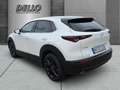 Mazda CX-30 140PS Auto. Homura ACC HUD Kamera SHZ Apple CarPla Weiß - thumbnail 3
