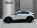 Mazda CX-30 140PS Auto. Homura ACC HUD Kamera SHZ Apple CarPla Weiß - thumbnail 2