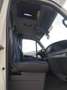 Iveco Daily 65 C 18CC - thumbnail 6