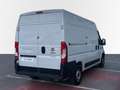 Fiat Ducato 35 L2H2 Mjet 2.3 103kW Easy Pro Blanco - thumbnail 9