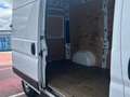 Fiat Ducato 35 L2H2 Mjet 2.3 103kW Easy Pro Blanco - thumbnail 11