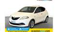 Lancia Ypsilon 1.2 evo II Gold Weiß - thumbnail 1
