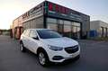 Opel Grandland X 1,5 CDTI 120 Edition *1.Besitz*Navigation* Weiß - thumbnail 1