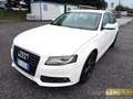 Audi A4 Avant 2.0 TDI Ambiente Bianco - thumbnail 3