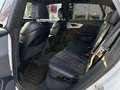 Audi Q8 50 TDI Quattro Tiptronic/*3xS-LINE*/AHK/RFK/SHZ... Weiß - thumbnail 30