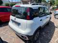 Fiat Panda Panda 1.3 mjt 16v Cross 4x4 80cv NEOPATENTATI Biały - thumbnail 4