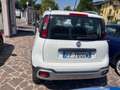 Fiat Panda Panda 1.3 mjt 16v Cross 4x4 80cv NEOPATENTATI Biały - thumbnail 5