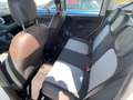 Fiat Panda Panda 1.3 mjt 16v Cross 4x4 80cv NEOPATENTATI Biały - thumbnail 11