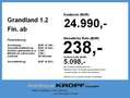 Opel Grandland 1.2 Fin. ab 2,99% Klima + PDC + NAVI Blau - thumbnail 4
