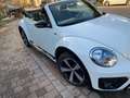 Volkswagen Beetle Volkswagen Beetle Cabriolet 1.4 TSI R-Line EURO 6 Blanc - thumbnail 16