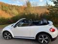 Volkswagen Beetle Volkswagen Beetle Cabriolet 1.4 TSI R-Line EURO 6 Blanc - thumbnail 9