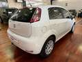 Fiat Punto 5 Porte 1.3 Multijet II Lounge Bianco - thumbnail 3