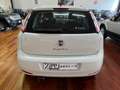 Fiat Punto 5 Porte 1.3 Multijet II Lounge Bianco - thumbnail 4