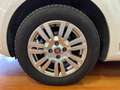 Fiat Punto 5 Porte 1.3 Multijet II Lounge Bianco - thumbnail 10