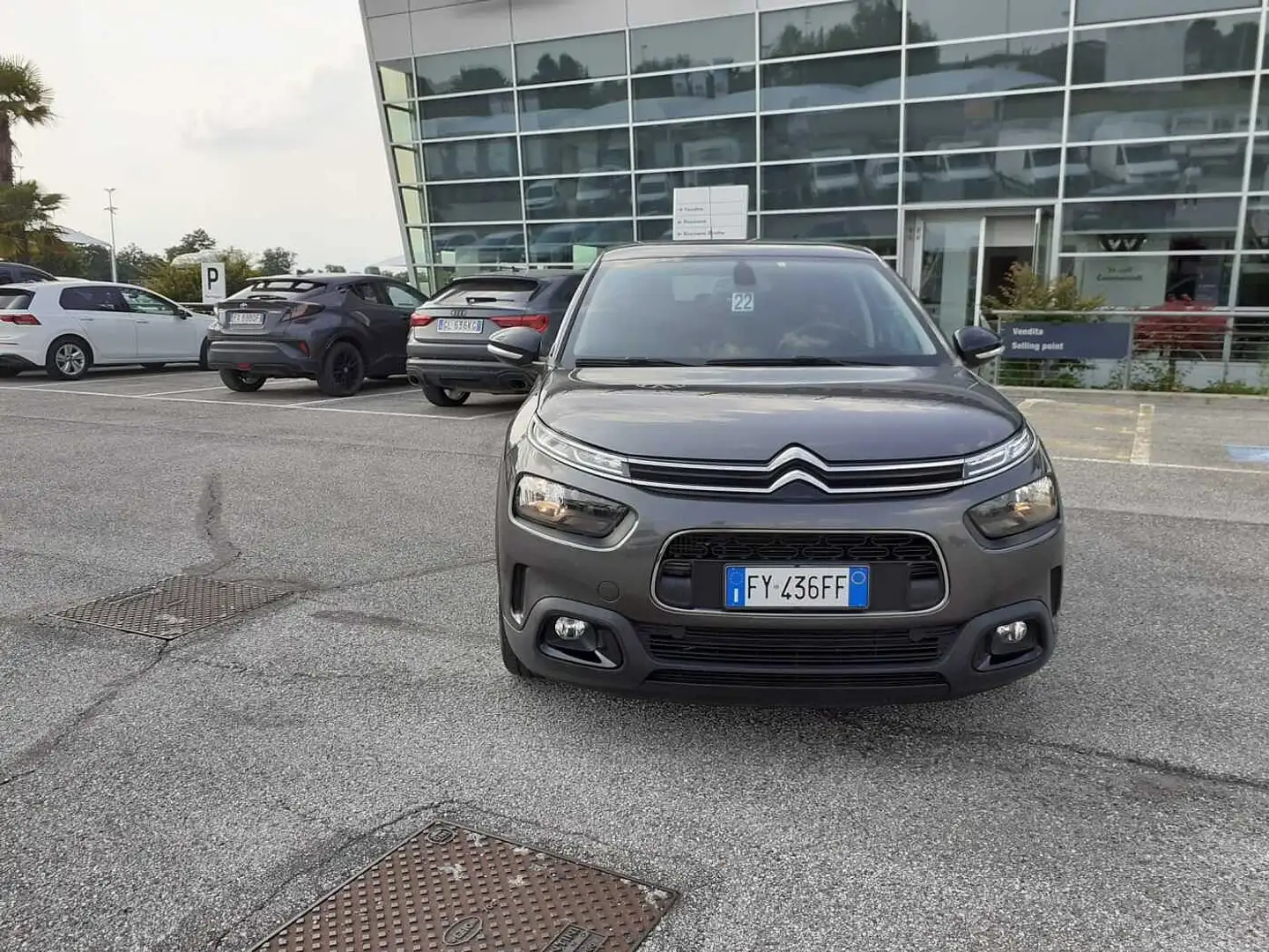 Citroen C4 Cactus BlueHDi 120 cv AUTOMATICO Gris - 2