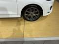 Ford Fiesta ST-Line Winterpaket Bianco - thumbnail 5