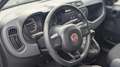 Fiat Panda Panda III 2016 1.2 Easy easypower Gpl 69cv my19 Plateado - thumbnail 8