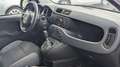 Fiat Panda Panda III 2016 1.2 Easy easypower Gpl 69cv my19 Plateado - thumbnail 7