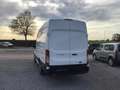 Ford Transit l4h3 165pk automaat 7/2025 30950e ex Blanc - thumbnail 13