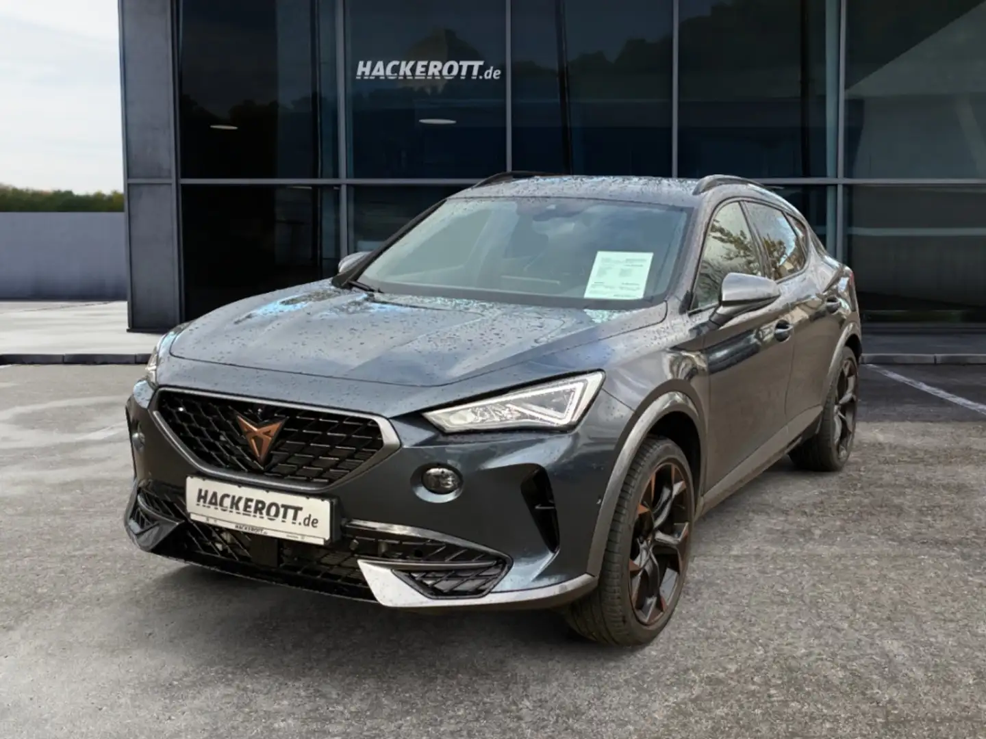 CUPRA Formentor VZ 4Drive 2.0 TSI DSG Panorama Full Link Navi Sitz Grau - 2